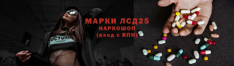 Галлюциногенные грибы Лодейное Поле